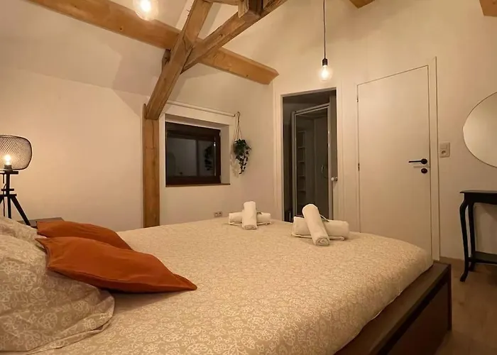 Ferienhaus Le Belle-vue La Roche-en-Ardenne